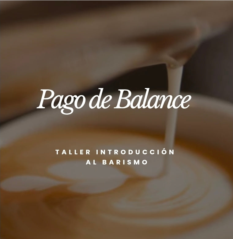 Balance Taller Introducción al Barismo